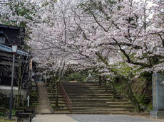 二ノ丸への参道