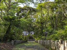 鳥居前から参道と社殿