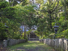 鳥居前から参道と社殿