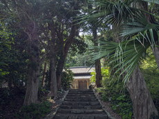 鳥居過ぎから社殿