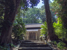 鳥居過ぎから社殿