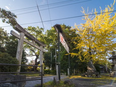 鳥居（北口参道）
