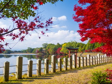 内宮（宝池・三角池）