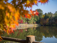 内宮（宝池・三角池）