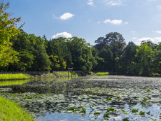 内宮（宝池・三角池）