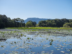 内宮（宝池・三角池）から八面山