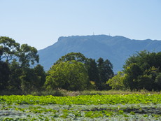内宮（宝池・三角池）から八面山
