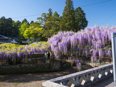 境内入口・萬年橋前
