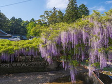 境内入口・萬年橋前
