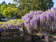 境内入口・萬年橋前