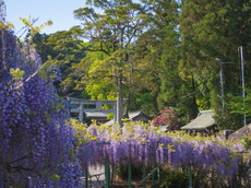 境内入口・萬年橋前