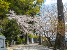 西門・四之鳥居
