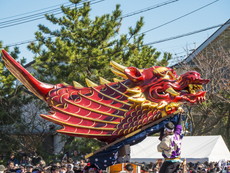 唐津くんち（神幸祭）：飛龍