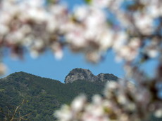 桜馬場から黒髪山山頂（天童岩）