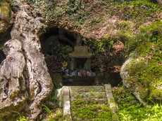 御神木（武雄の大楠）