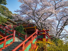 社殿前の階段参道から